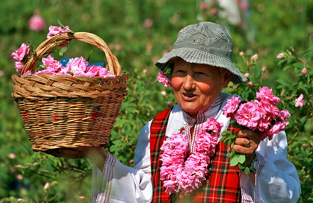 Bulgaria's Rose Valley: The Liquid Gold That Perfumes the World