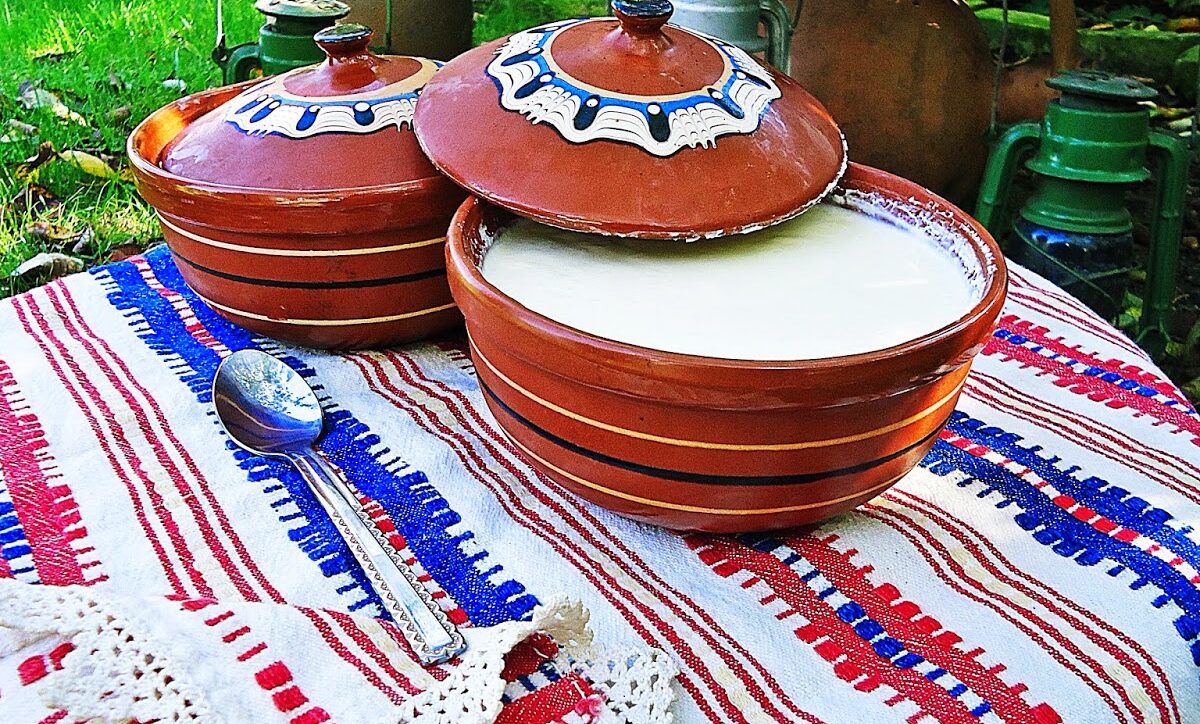 Bulgarian Yogurt: The Secret to Longevity Hidden in a Simple Bowl